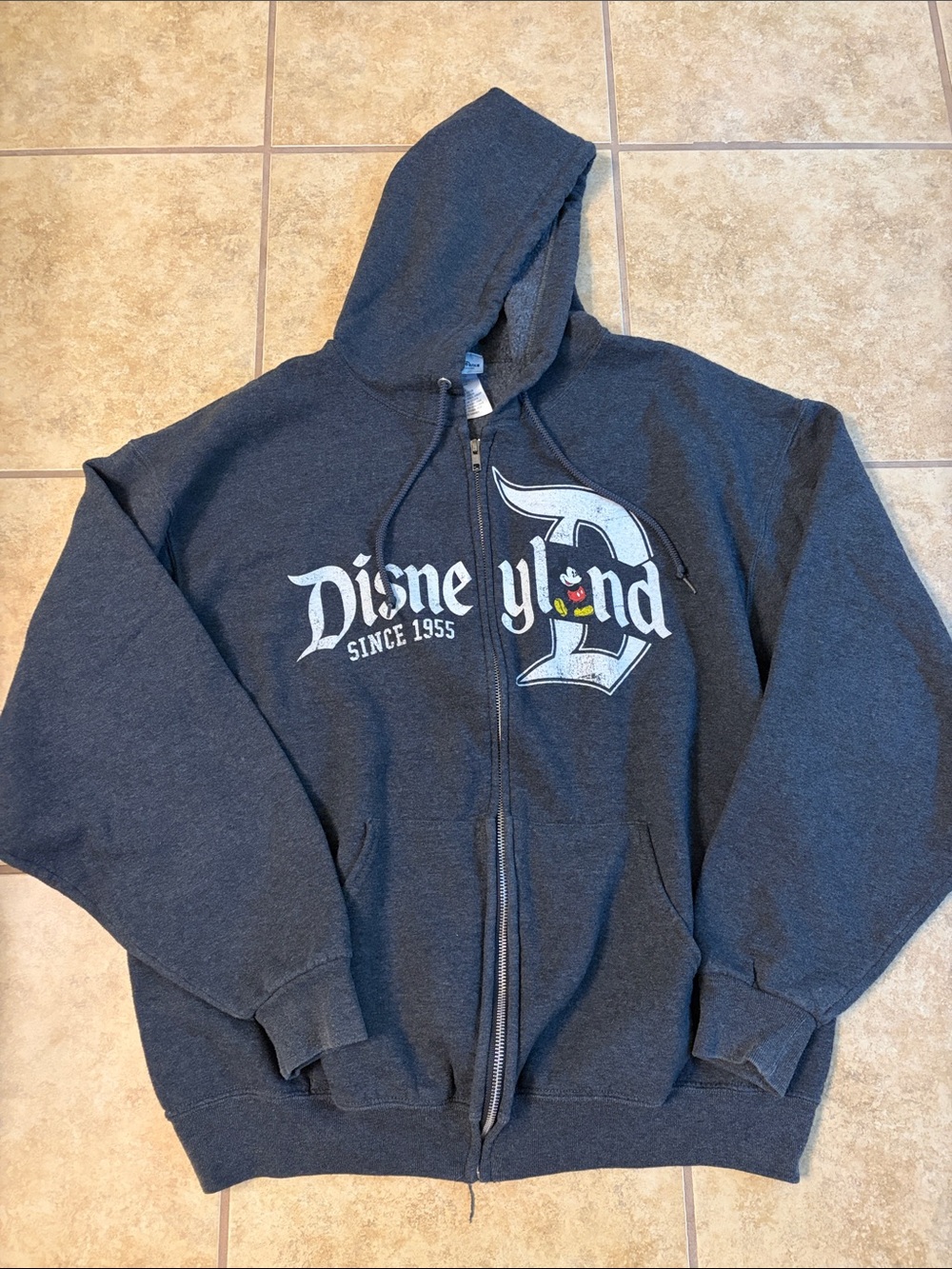 Disney Charcoal Gray Zip Hoodie with Disneyland Logo